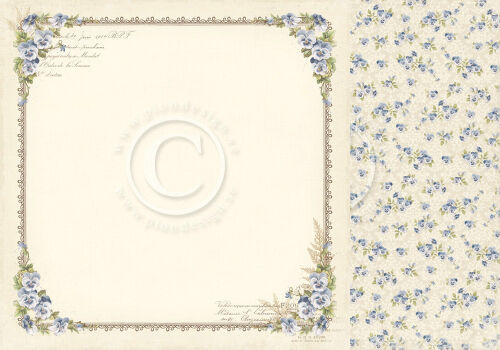 PIO Cardstock - My beloved Son Pansy