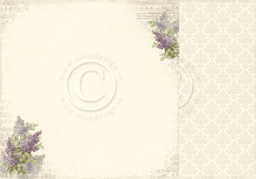 PIO Cardstock - My Precious Daughter Syringa