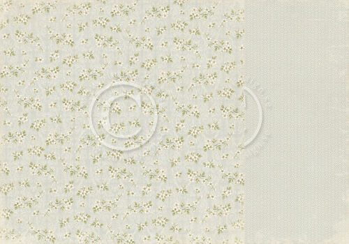 PIO Cardstock - Shoreline Treasures White Blossom