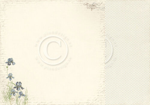 PIO Cardstock - Shoreline Treasures Iris Sibirica