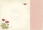 PIO Cardstock - Siris Kitchen Geranium