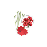 WRM Home Deco - Crepe Paper Flowers Kit Red