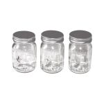THZ Mini Mason Jars