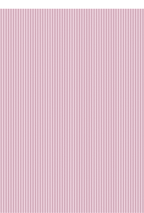 RPR Cardstock A4 - Vintage Pink Stripes