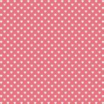 TCL Cardstock - Daily Stories Currently