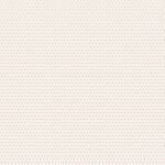 TCL Cardstock - Daily Stories Quotes