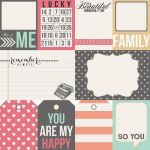 TCL Cardstock - Daily Stories Remember
