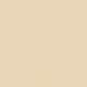 TCL Cardstock - Daily Stories Remember