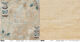 RHD Cardstock - Tailgate Marked Moths