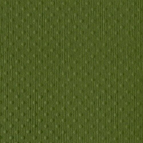 Bazzill Cardstock 12x12 Grüntöne - Two Scoops Luscious Lime