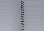 DCWV Spiral Notebook - Citrus