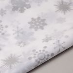 RCB Seidenpapier - Silver Snowflakes