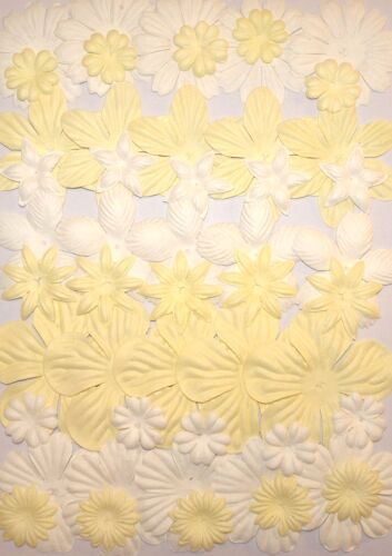 SRH Flowers - White & Cream