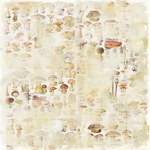 MGN Cardstock - Turning Leaves Vintage Mushrooms
