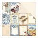 ATQ Cardstock - Explore Pocket Cut-Apart 3"X4" Cards/Grid
