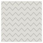 RRI Cardstock - Dancette Glitter Silver