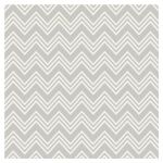 RRI Cardstock - Dancette Glitter Silver