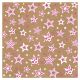 RRI Cardstock - Kraftastic Glitter Pink Starry Night
