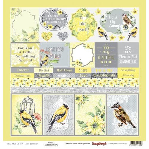 SCB Cardstock - The Art of Nature Cards