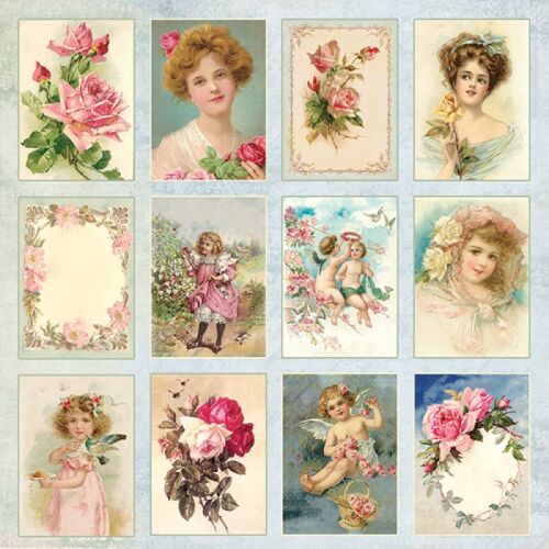 CYD Cardstock - Rose Garden 07