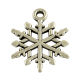 SRH Charm 5 Stück - Snowflake/Schneeflocke Antique Silber