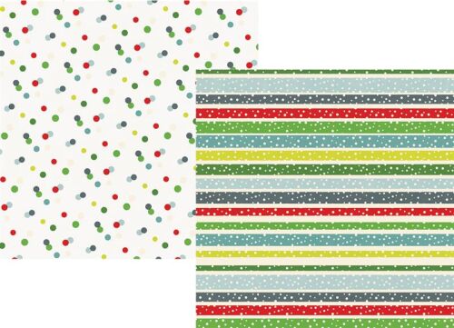 SST Cardstock - Sub Zero Below Zero