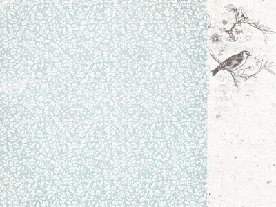 KSC Cardstock - Ooh la la Bonjour