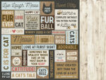 KSC Cardstock - Pawfect Meow
