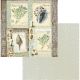 COC Cardstock - Seaside and Me #8
