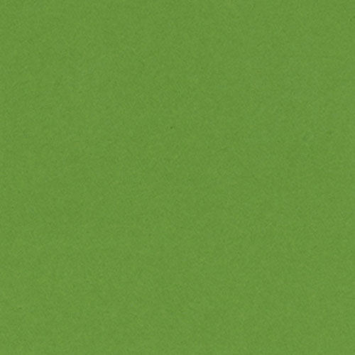 Bazzill Cardstock 12"x12" Grüntöne - Smoothie Lime Crush