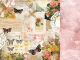 KSC Cardstock - Scrap Studio Expression