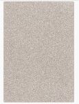 CFC A4 Glitter Cardstock - Champagne