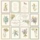 PIO Cardstock - Four Seasons of Fairies Images of the Past II