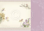 PIO Cardstock - Four Seasons of Fairies Spring Fairies