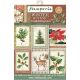 STP Scrapbooking Cards 4.5" x 6.5" - Winter Botanic