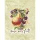 PRM Journaling Notecards 3"x4" - Fruit Paradise