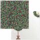 BOB Cardstock - Christmas in the Village Holly
