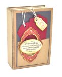 SRH Bastelkit - Mini-Book Odds & Ends