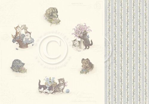 PIO Cardstock - Our Furry Friends In our hearts