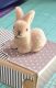 SRH Häschen / Osterhase braun beflockt