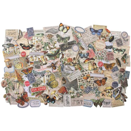 THZ Tim Holtz Ephemera - Idea-Ology Ephemera Pack Field Notes
