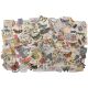 THZ Tim Holtz Ephemera - Idea-Ology Ephemera Pack Field Notes