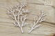 SCN Chipboard-Shapes/Laserstanzteile - Spring Prodigy Big Branches II