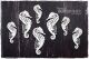 SNI Chipboard-Shapes/Laserstanzteile - Tropical Adventure Seahorses/Seepferdchen