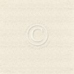 PIO Cardstock - Cherry Blossom Lane Garden roses
