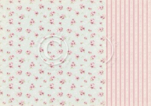 PIO Cardstock - Cherry Blossom Lane Cherry Blossom