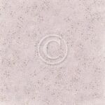 PIO Cardstock - New Beginnings Bird Song