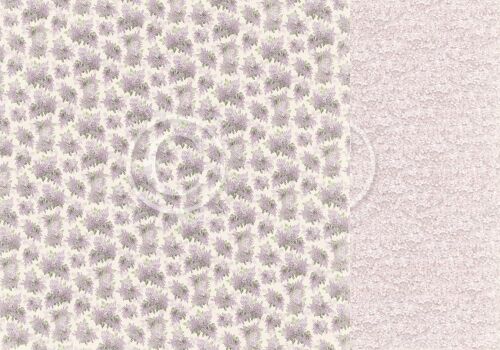 PIO Cardstock - New Beginnings Sweet Moments