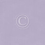 PIO Cardstock - New Beginnings Graceful Blooms
