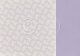 PIO Cardstock - New Beginnings Graceful Blooms